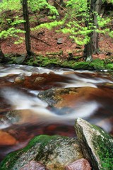 Beautiful waterfall, orange leaves, rocks and stones in autumn forest. Alps, Europe Amazing cascade waterfall in autumn forest, silky smooth stream. Beautiful background landscape concept