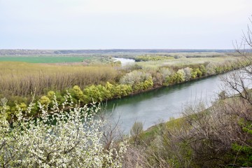 Spring landscape with river and trees