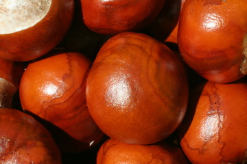 Fototapeta premium A lot of shiny chestnuts
