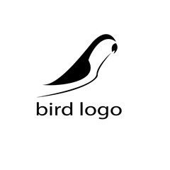 vector bird logo