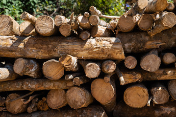 Fototapeta premium A stack of logs not neatly folded wall along and across