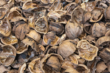 close up view of shattered walnut shells. Textured background of drought walnut shells