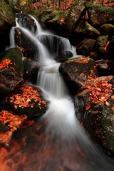 Autumn or spring forest river rocks view. Wild river rocks in autumn forest. Beautiful forest river rocks landscape. Giant Mountains, Czech Republic, Europe. Beautiful waterfall background concept
