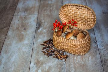 Fresh boletus mushrooms in a nice basket and dry mushroom on wooden table, overhead, red rowan bunch