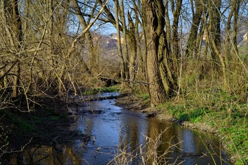 Fototapeta na wymiar Spring river in the forest