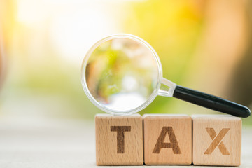 Word block "TAX" and magnifying glass with green nature background. Income, expenses, tax, financial data.