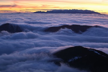 Fantastic evening and morning winter landscape. Colorful overcast sky. Beauty world  Magical snow covered tree. In anticipation of the holiday. Dramatic wintry scene. Carpathian mountains, Europe