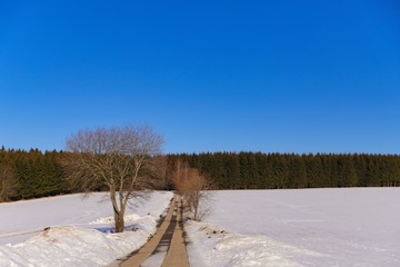 wandern auf dem firstenweg im erzgebirge