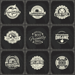 Set of vintage eco green chalk lettering sticker labels of healthy organic natural farm fresh food on blackboard