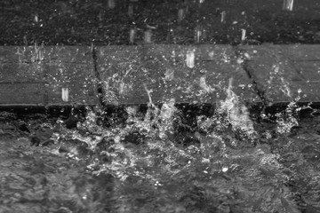 Raindrops on the asphalt