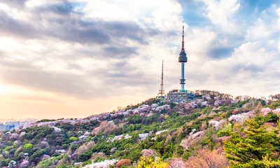 Poster Namsan-berg in de lente bij Seoel, Zuid-Korea © sayan