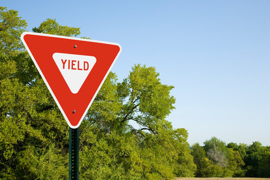 Yield Sign With Green Trees