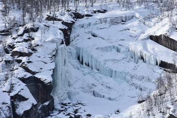 frosen