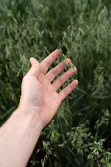 Guy's hand touches nature