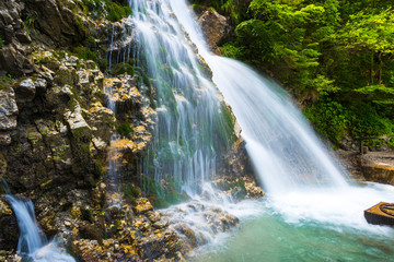 Obraz premium Waterfall in the forest