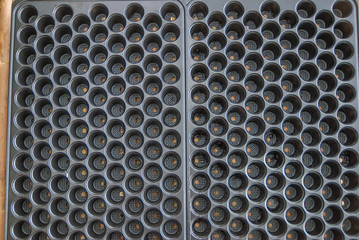 Plant Tray, black plant tray from Thailand country
