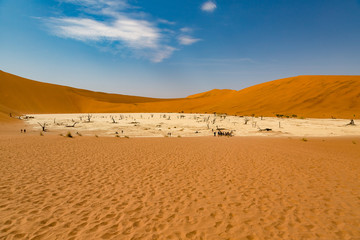 Fototapeta na wymiar Deadvlei inside Namib-Naukluft national park in Namibia, Africa