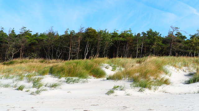 Sand dunes on Bornholm