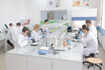 Fototapeta premium Group of young Laboratory scientists working at lab with test tubes and microscope, test or research in clinical laboratory.Science, chemistry, biology, medicine and people concept.