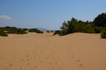 Fototapeta na wymiar dunes next to the Korission Lake, on Corfu (Greece, Ionian Islands) 