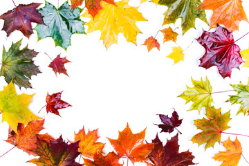 Naklejka na ściany i meble Autumn wet maple leaves of different colors on white background.
