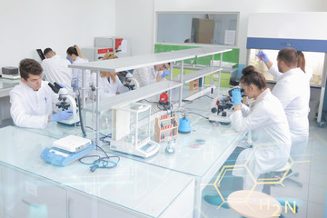Fototapeta na wymiar Group of young Laboratory scientists working at lab with test tubes and microscope, test or research in clinical laboratory.Science, chemistry, biology, medicine and people concept.