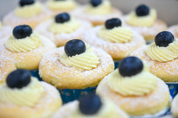 Vanilla cheese cupcake topping with blueberry