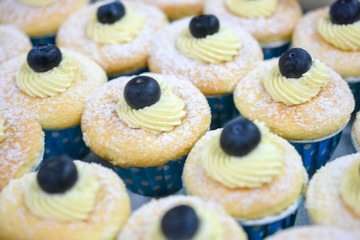 Vanilla cheese cupcake topping with blueberry