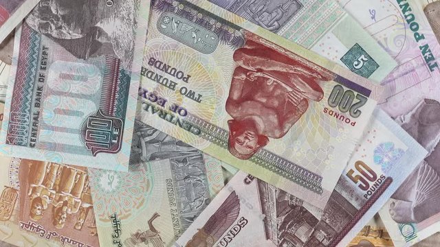 Egyptian currency pound rotating. Egypt money. 4K stock video footage