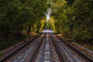 Obraz premium Tramways through the autumn forest