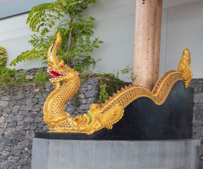 chinese dragon
