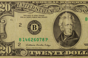 Macro shot of twenty dollar bill