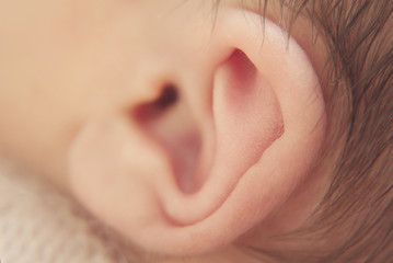 Obraz premium baby ear close-up