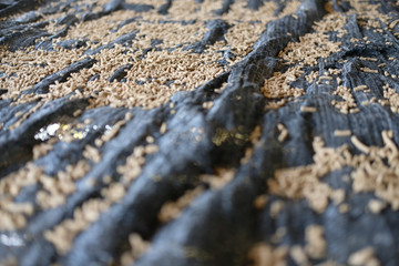 animal feed. mixed fodder pellet for fish