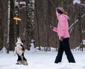 Fototapeta na wymiar girl playing frisbee in the snow with a border collie dog