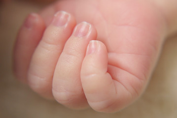 Obraz na płótnie Canvas close up of a newborn's hand