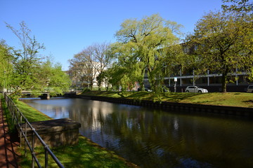 Obraz premium Sommer