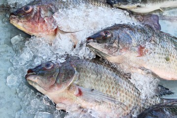 Fresh fish for cooking at street food