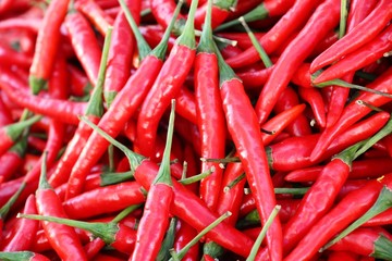 Fresh chilli for cooking at street food