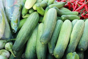 Fresh cucumbers for cooking in the market