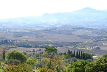Naklejka premium Beautiful scenery near Pienza, Tuscany