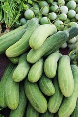 Fresh cucumbers for cooking in the market