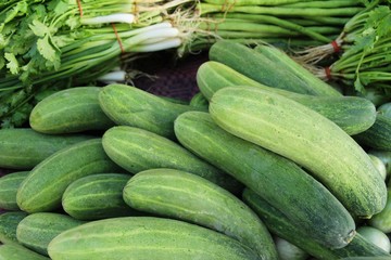 Fresh cucumbers for cooking in the market