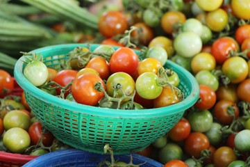 Fresh tomatoes for cooking in street food