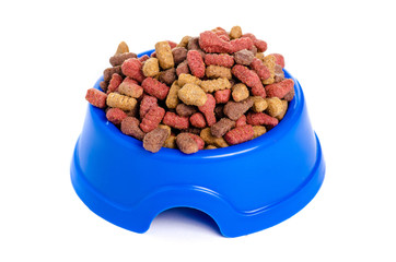 Dry food in a bowl for dogs and cats on a white background isolation
