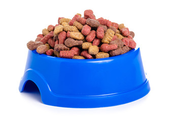 Dry food in a bowl for dogs and cats on a white background isolation