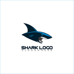 Shark Logo Design