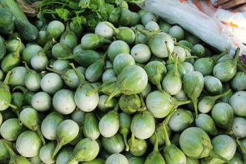 Fresh eggplant green organic at street food