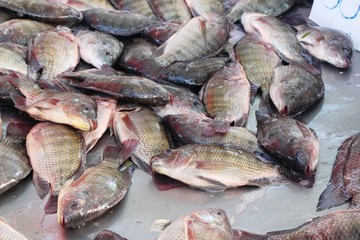 Fresh fish for cooking at street food