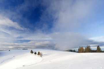 Hügel in winterlichem Schwarzwald mit blauem Wolkenhimmel